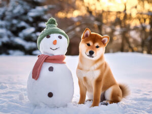 雪だるまと並んで座るかわいい柴犬の子犬