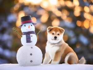 雪だるまと並んで座るかわいい秋田犬の子犬