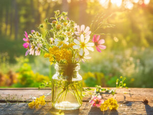 ガラス瓶に飾られた可憐な野の花