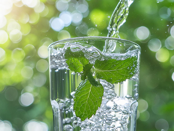 ミントの葉の入った冷たい炭酸水