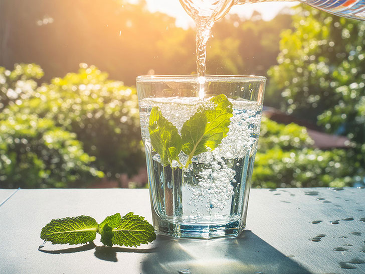 ミントの葉の入った冷たい炭酸水