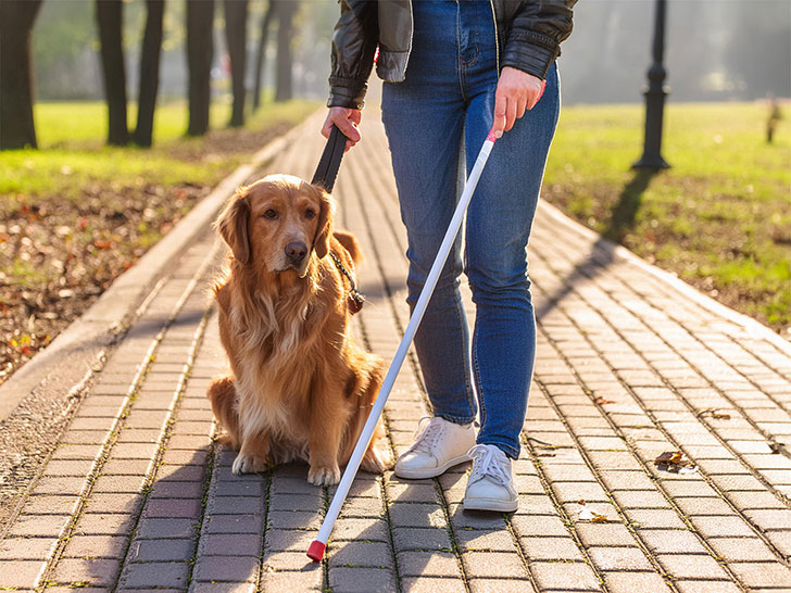 盲導犬と歩く白杖の男性の足元