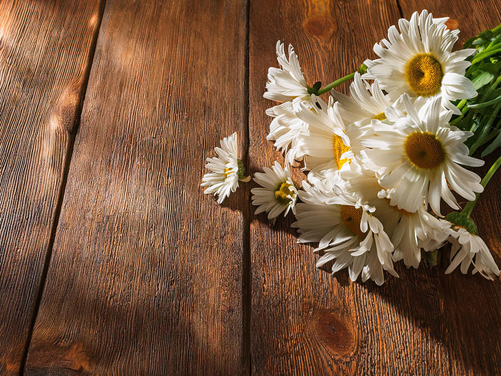 木の床の上に置かれた白いひなぎくの花束