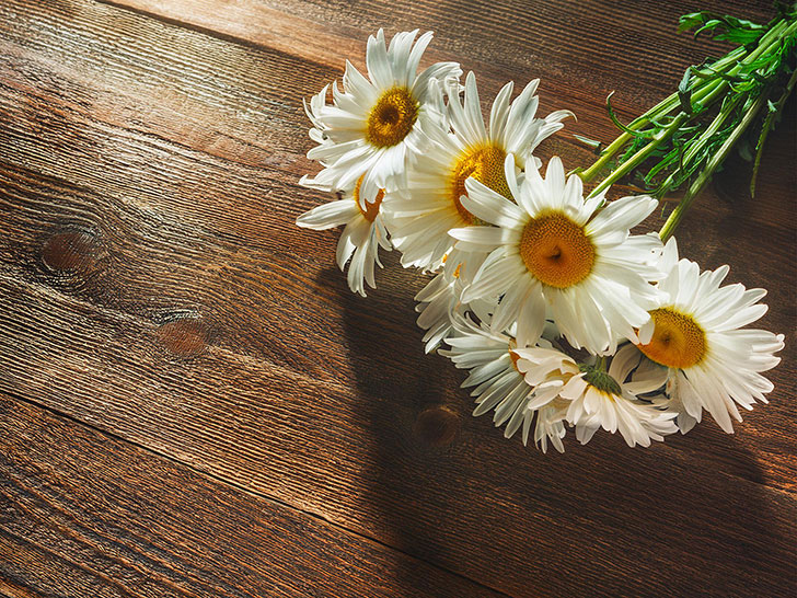 木の床の上に置かれた白いひなぎくの花束