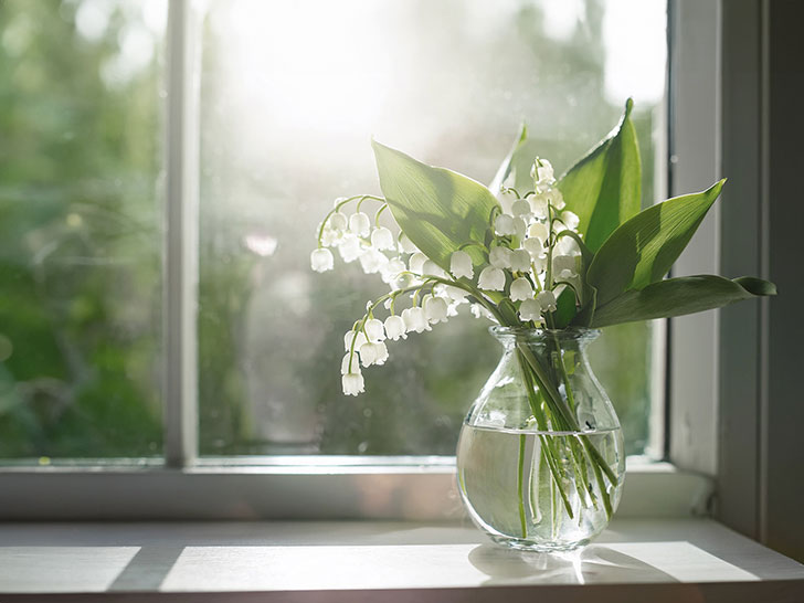 窓辺にかざられたスズランの花