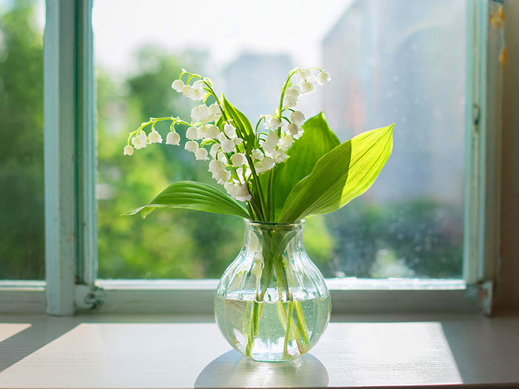 窓辺にかざられたスズランの花