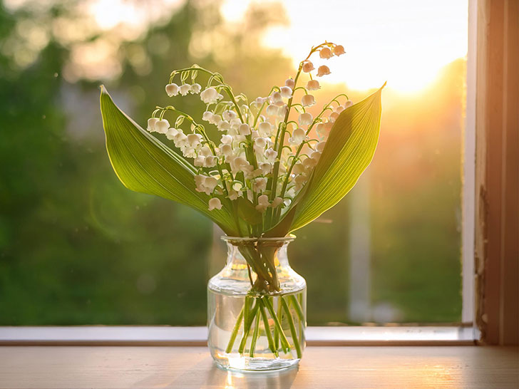 窓辺にかざられたスズランの花