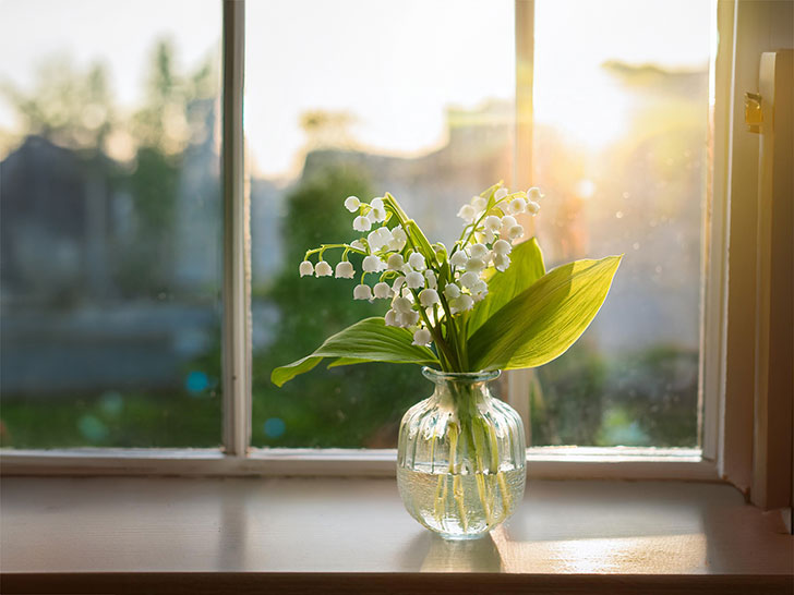 窓辺にかざられたスズランの花