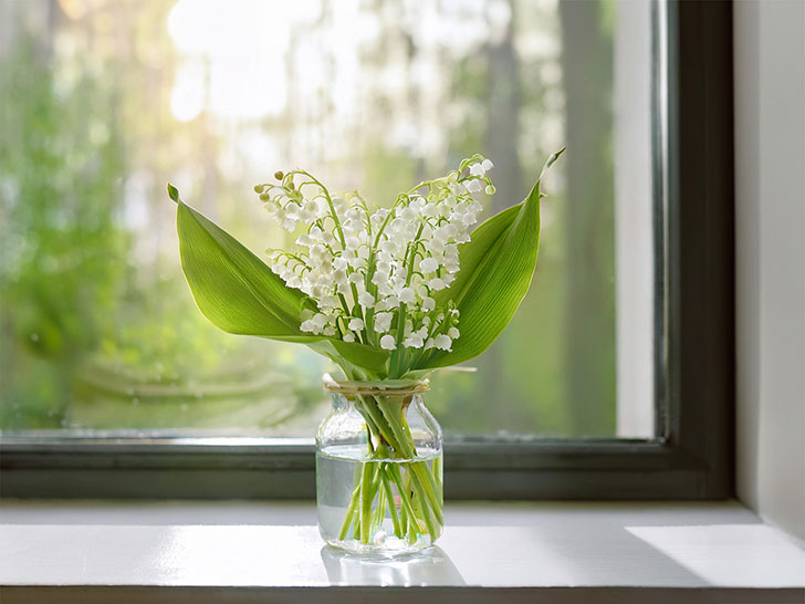 窓辺にかざられたスズランの花