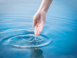 透明な水に浸された女性の手