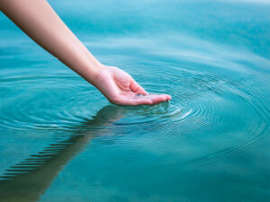 透明な水に浸された女性の手