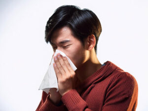ティッシュで鼻をかむ若い男性