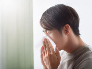 ティッシュで鼻をかむ若い男性