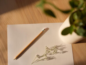 植物の鉛筆スケッチ