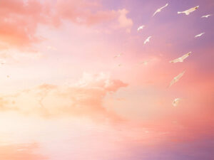 美しい空を飛ぶ鳥の群れ