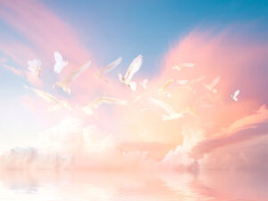 美しい空を飛ぶ鳥の群れ
