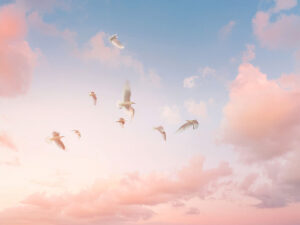 美しい空を飛ぶ鳥の群れ