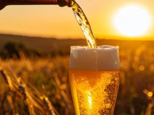 グラスに注がれる冷たいビール