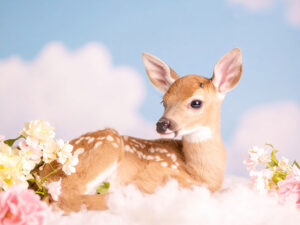 お花畑の中の美しい鹿