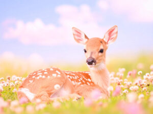 お花畑の中の美しい鹿