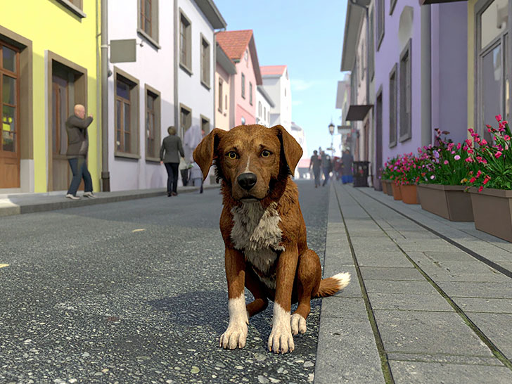 道端にたたずむ野良犬