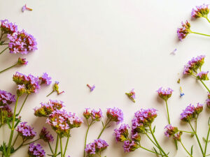 たくさんの紫色の花のイメージ