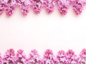 たくさんの紫色の花のイメージ