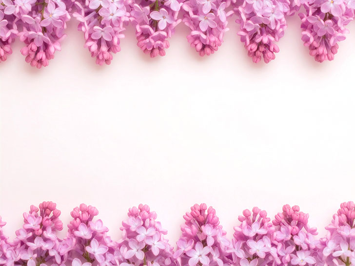 たくさんの紫色の花のイメージ