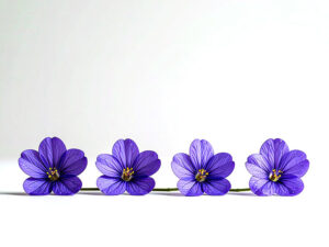 たくさんの紫色の花のイメージ