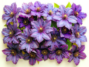 たくさんの紫色の花のイメージ