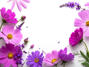 たくさんの紫色の花のイメージ