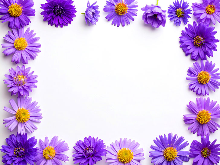 たくさんの紫色の花のイメージ