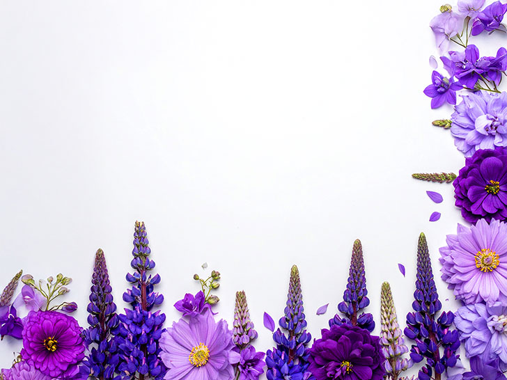 たくさんの紫色の花のイメージ