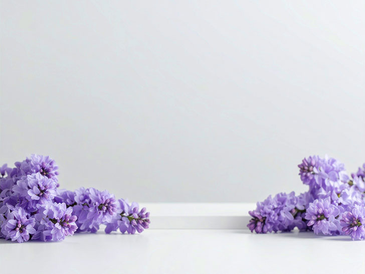 たくさんの紫色の花のイメージ