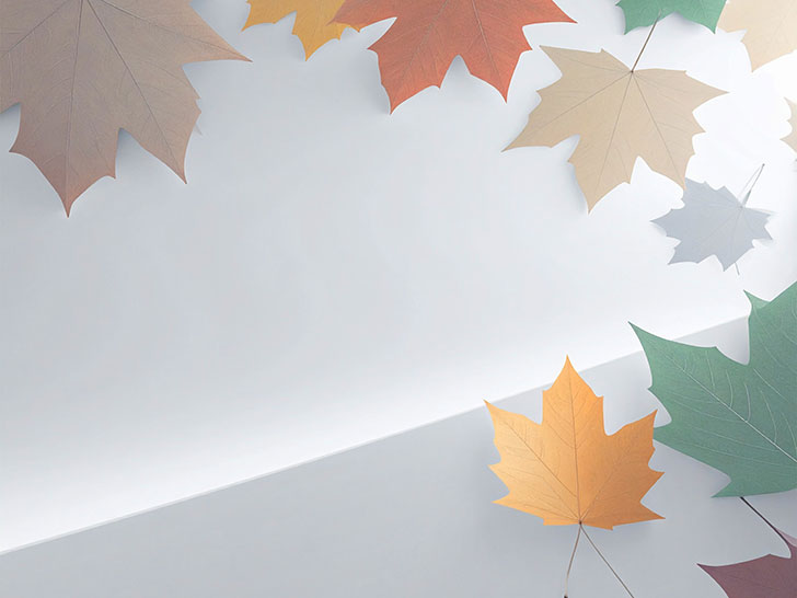 白い背景に置かれた色とりどりの落ち葉