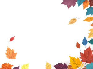 白い背景に置かれた色とりどりの落ち葉