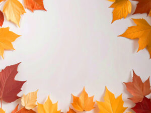 白い背景に置かれた色とりどりの落ち葉