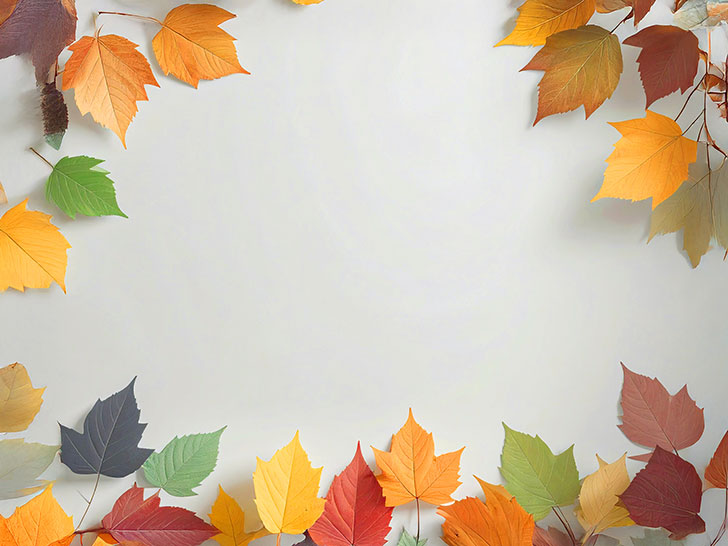 白い背景に置かれた色とりどりの落ち葉