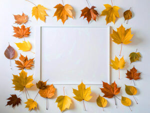 白い背景に置かれた色とりどりの落ち葉