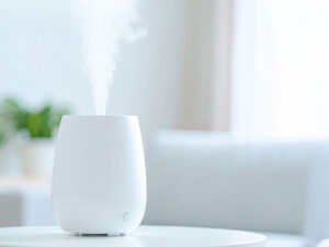 蒸気の出ている加湿器