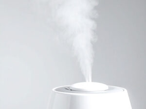 蒸気の出ている加湿器