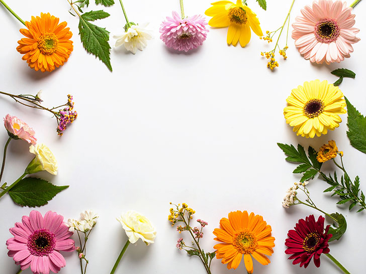 色とりどりのたくさんの花