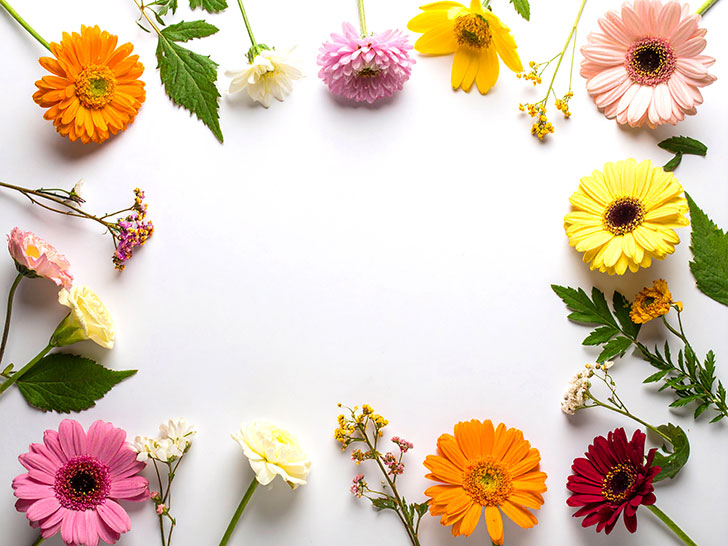 色とりどりのたくさんの花