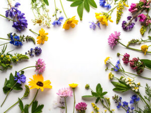 色とりどりのたくさんの花