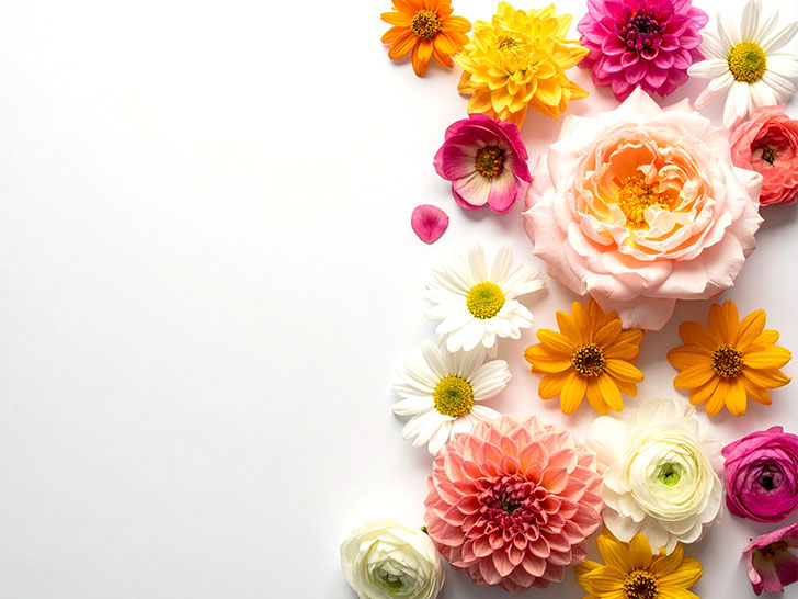 色とりどりのたくさんの花