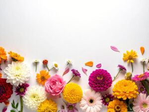 色とりどりのたくさんの花