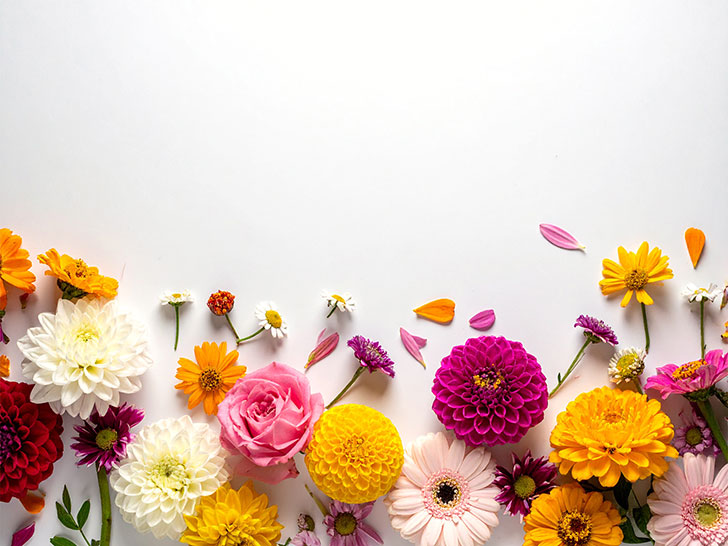 色とりどりのたくさんの花