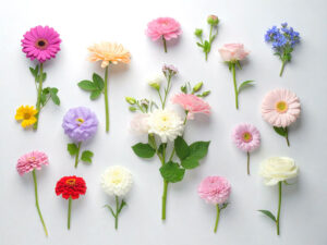 色とりどりのたくさんの花