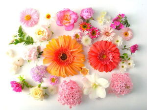 色とりどりのたくさんの花