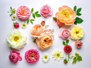 色とりどりのたくさんの花